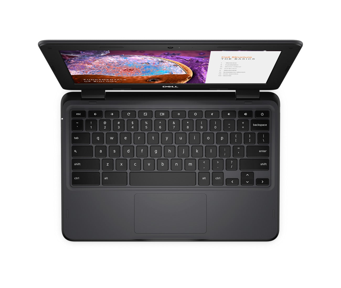 Laptop DELL Chromebook 3110 N4500 11.6" 4GB 32GB Intel Celeron