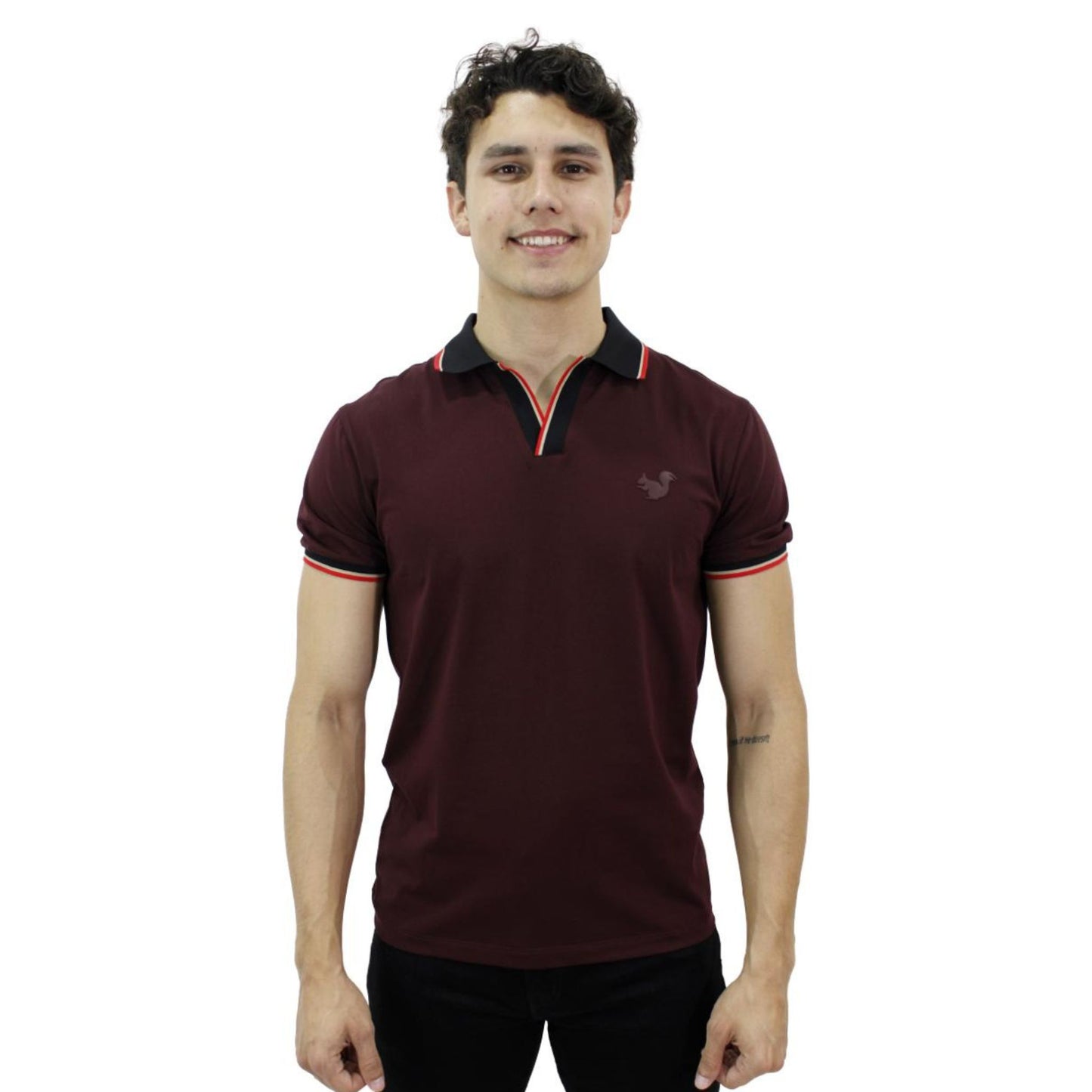 Playera para Hombre Marca PAVINI P-2197-burg