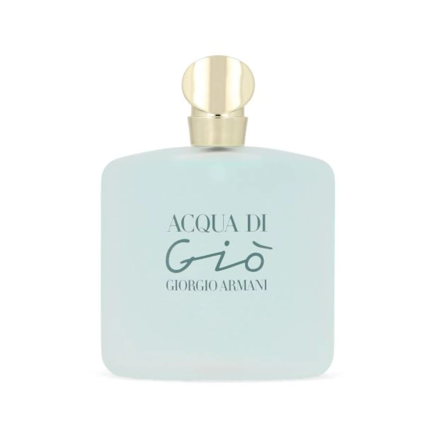 Perfume Giorgio Armani Acqua Di Gio 100 ml EDT