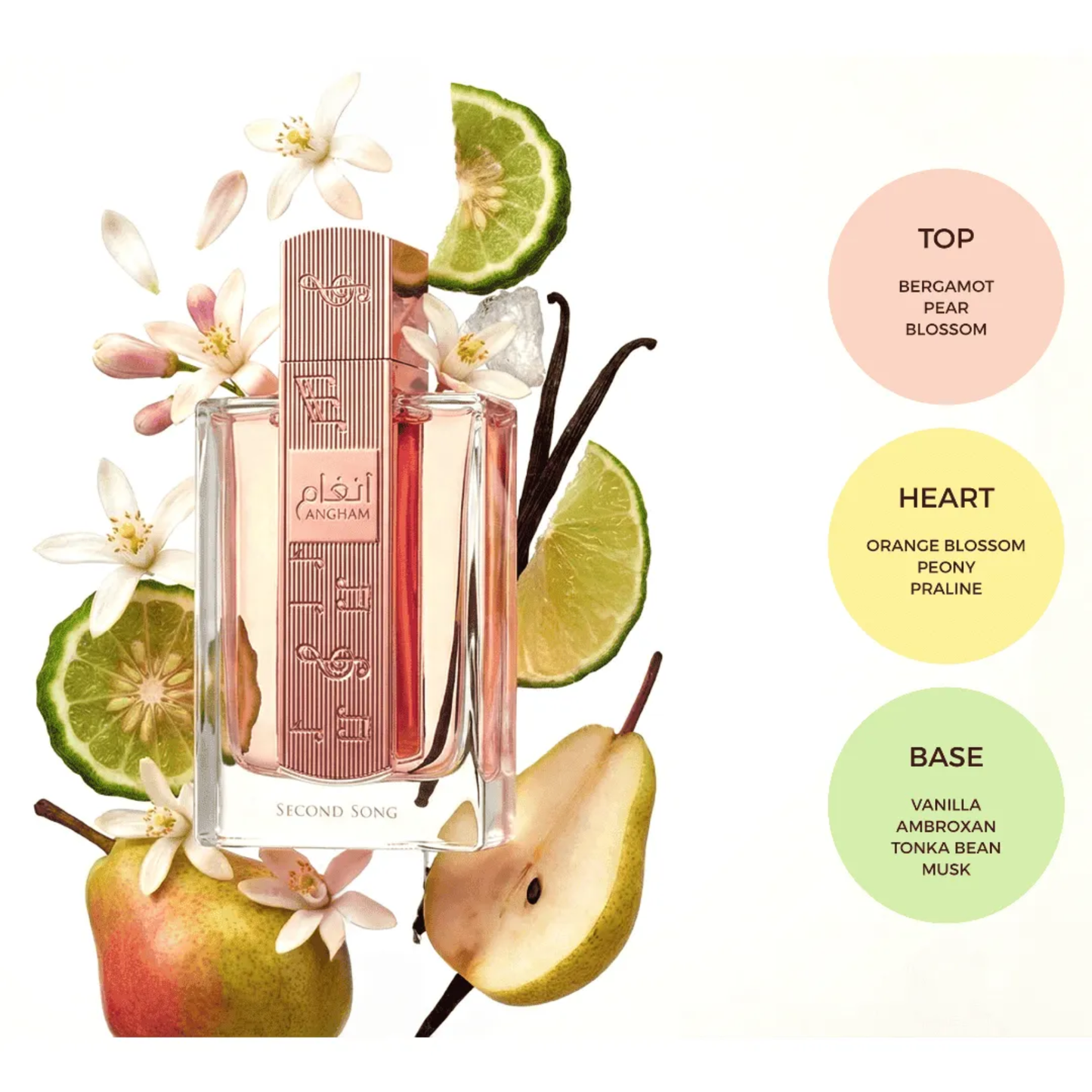 Perfume Lattafa Angham Second Song de 100ML EDP