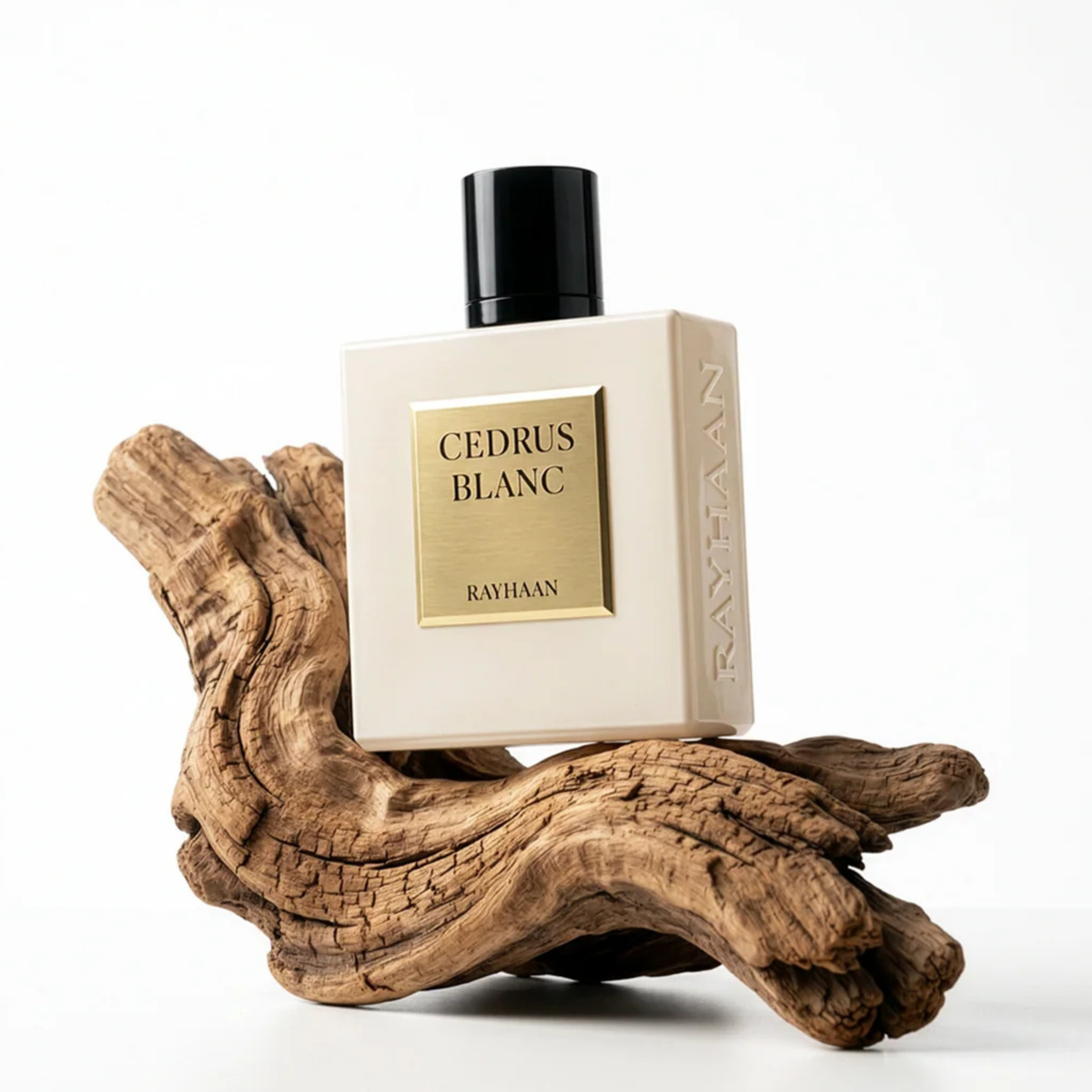 Perfume Rayhaan Cedrus Blanc 100ML EDP