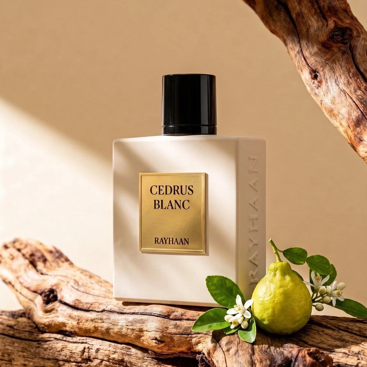 Perfume Rayhaan Cedrus Blanc 100ML EDP