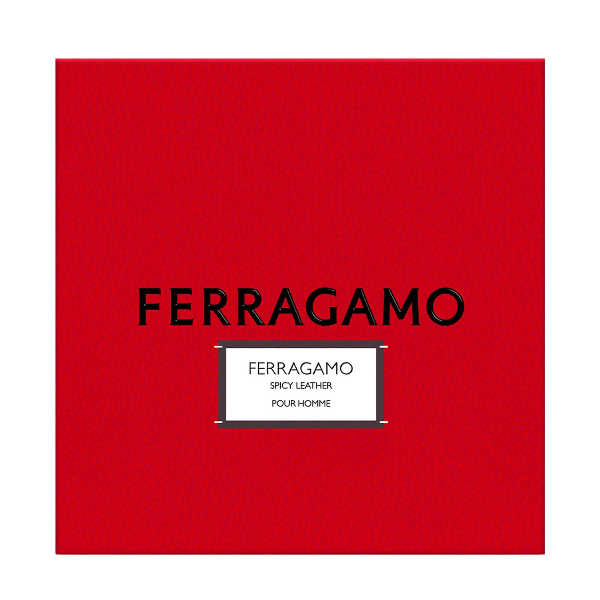 Ferragamo Spicy Leather Pour Homme