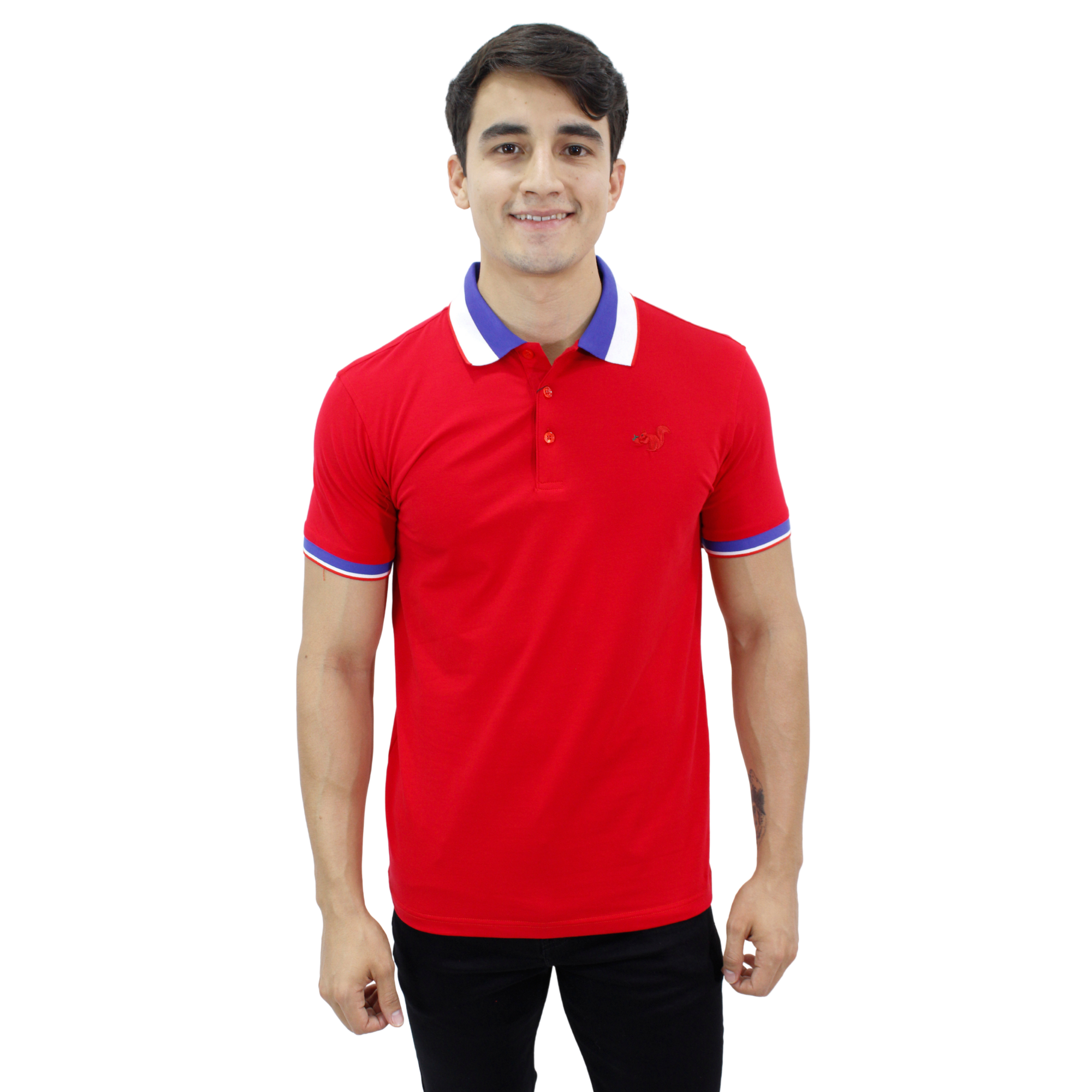 Playera para Hombre Marca PAVINI P-3033-RED