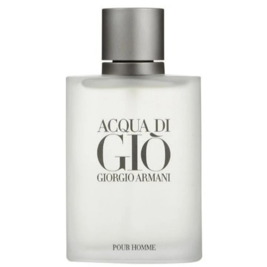 Perfume Giorgio Armani Acqua Di Gio 100ml EDT