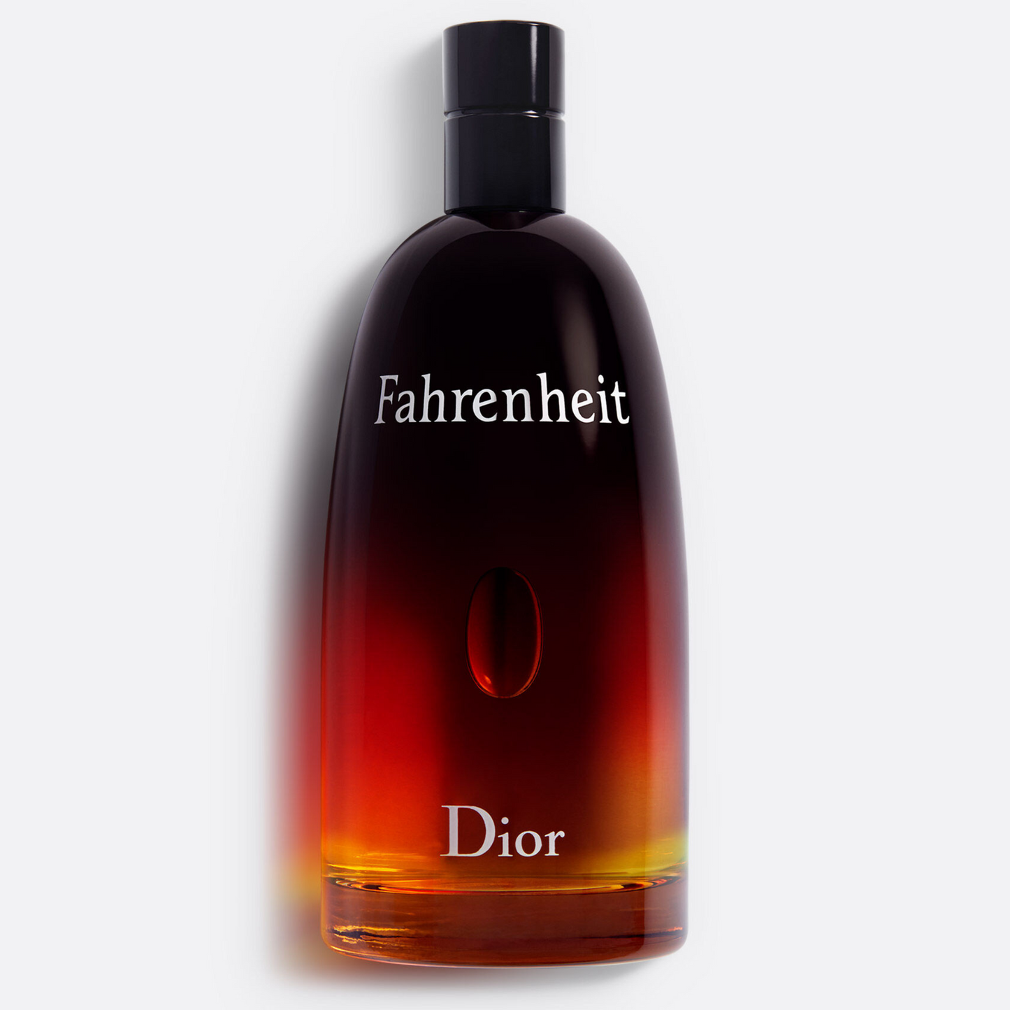 Perfume Dior Fahrenheit 100ml Edt Para Caballero