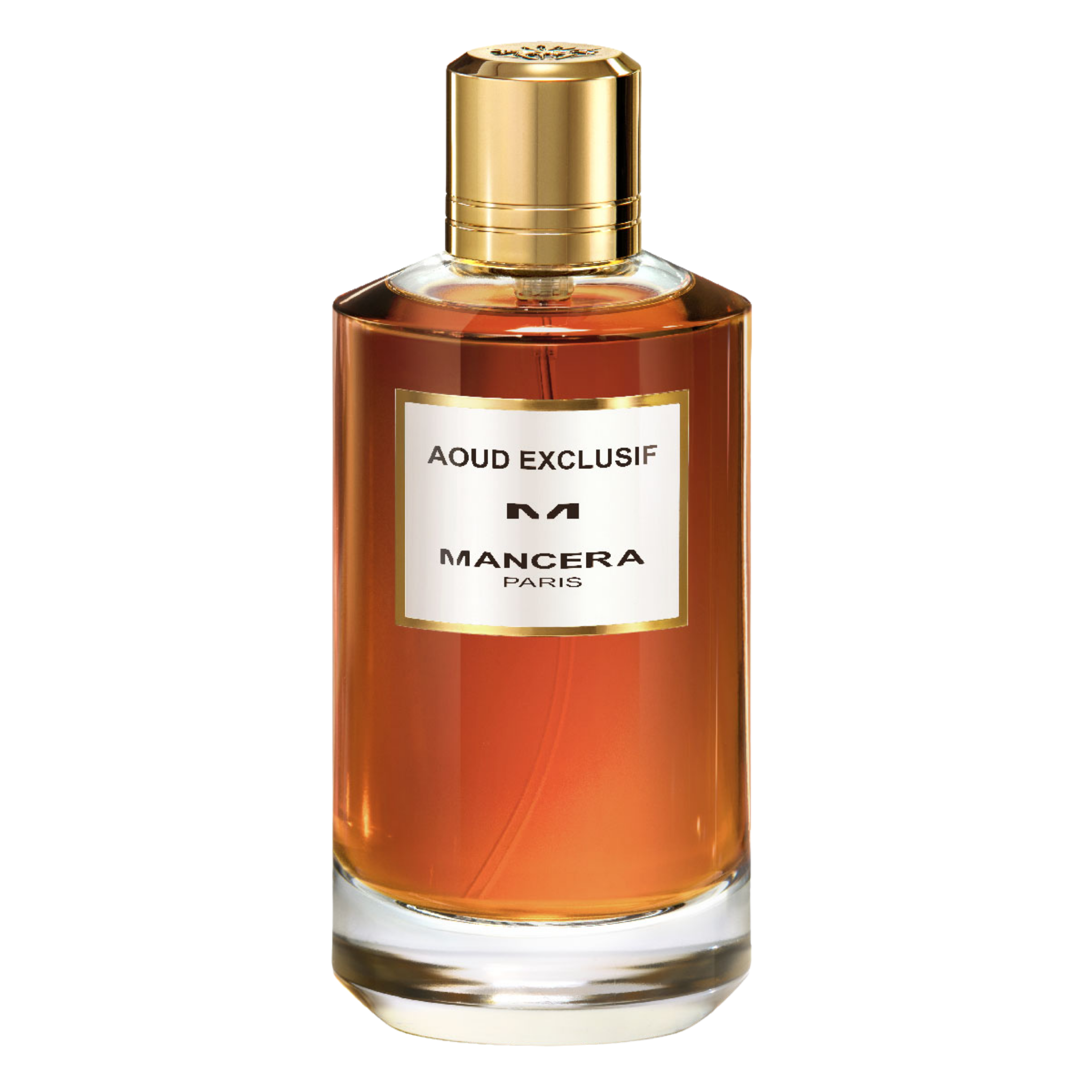 Perfume Unisex Mancera Paris Aoud Exclusif 120ml EDP