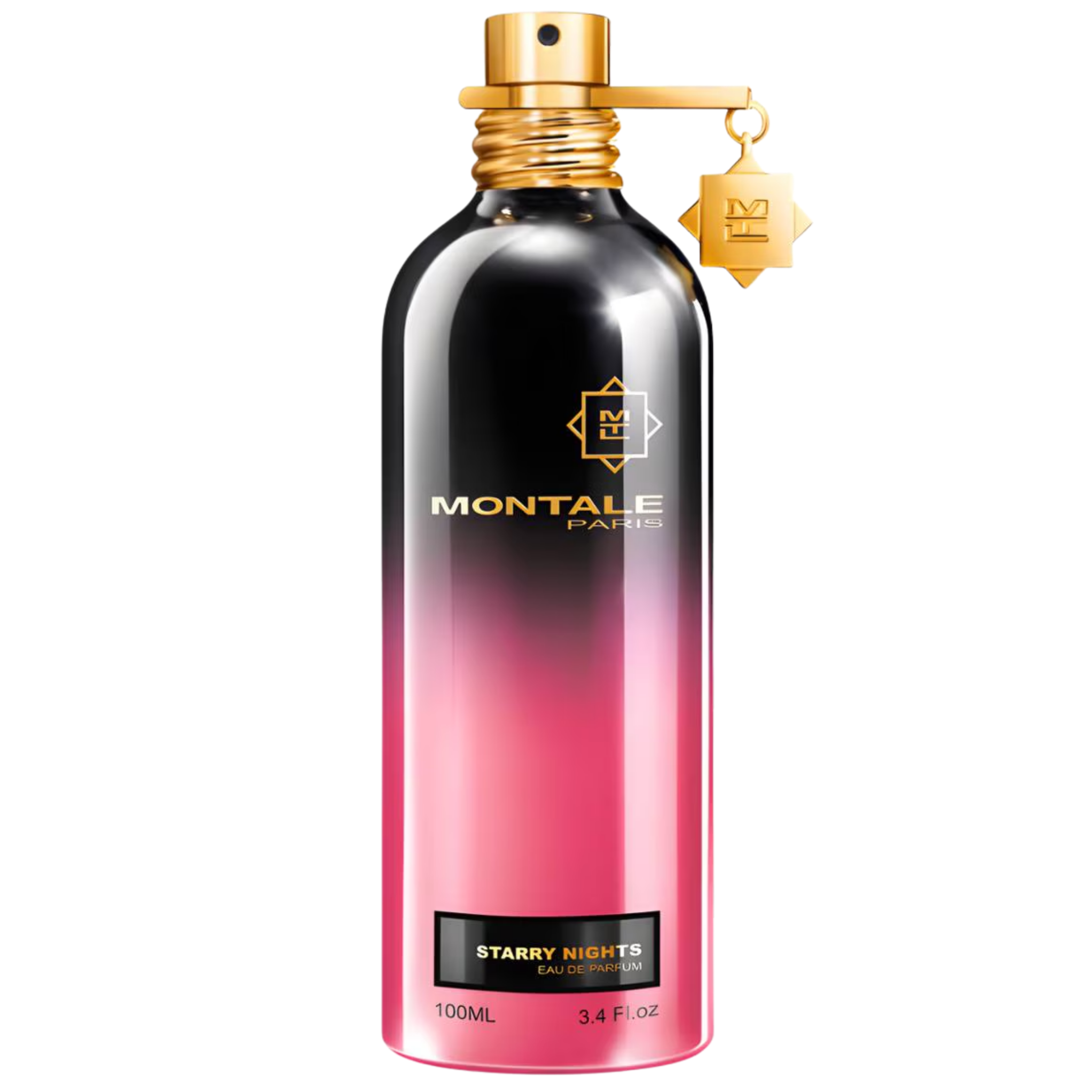 Perfume Unisex MONTALE PARIS STARRY NIGHTS 100ml EDP