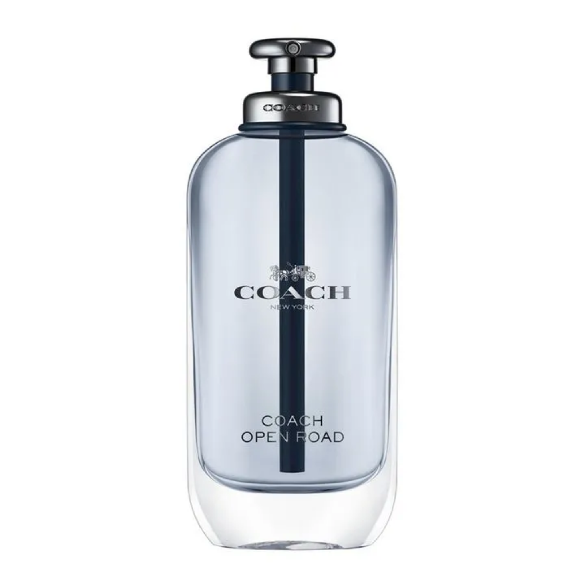 Perfume COACH OPEN ROAD 100ml EDT