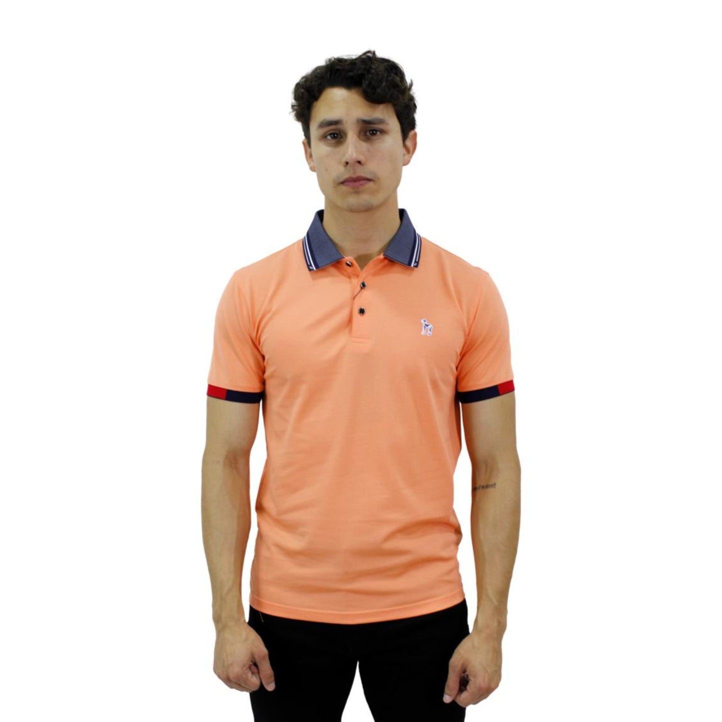 Playera para Hombre Marca PAVINI P-3020