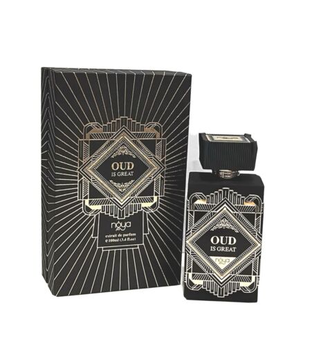 Perfume para Hombre AFNAN Noya Oud is Great 100ml  EDP